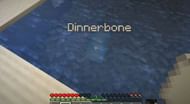 A rare blue axolotl named Dinnerbone (Image via u/SubatomicMc on Reddit)